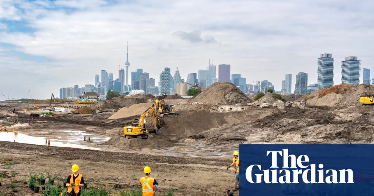 Creatures buried in soil for over a century burst back to life in Toronto waterfront | Toronto