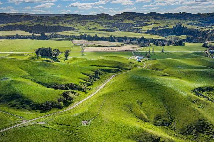 Sam Whitelock and his wife, Hannah, have put their farm, Riverbank Station, on the market for sale. Photo / Supplied