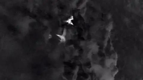 Ric Else/LIFE Raft Night time vision of birds, that are white on a black dark background. 