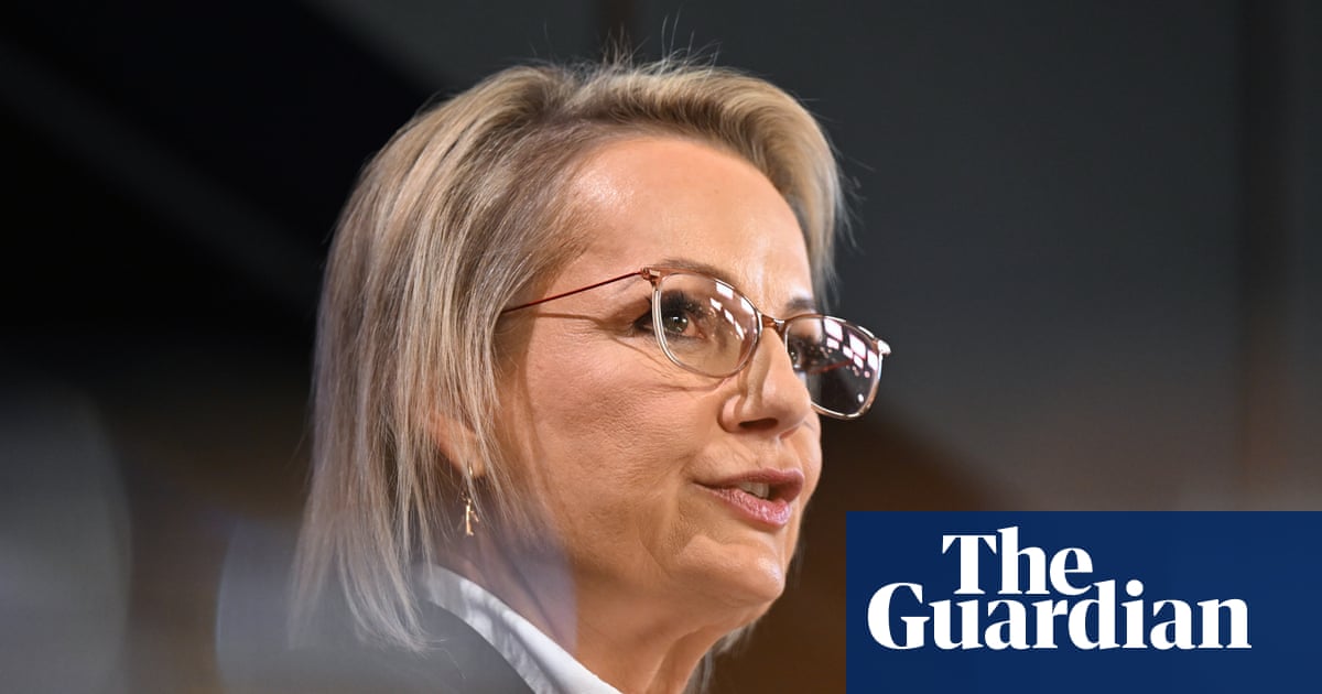 Sussan Ley’s Melbourne crime crusade achieves little more than a political free kick for Victorian Labor | Victorian politics