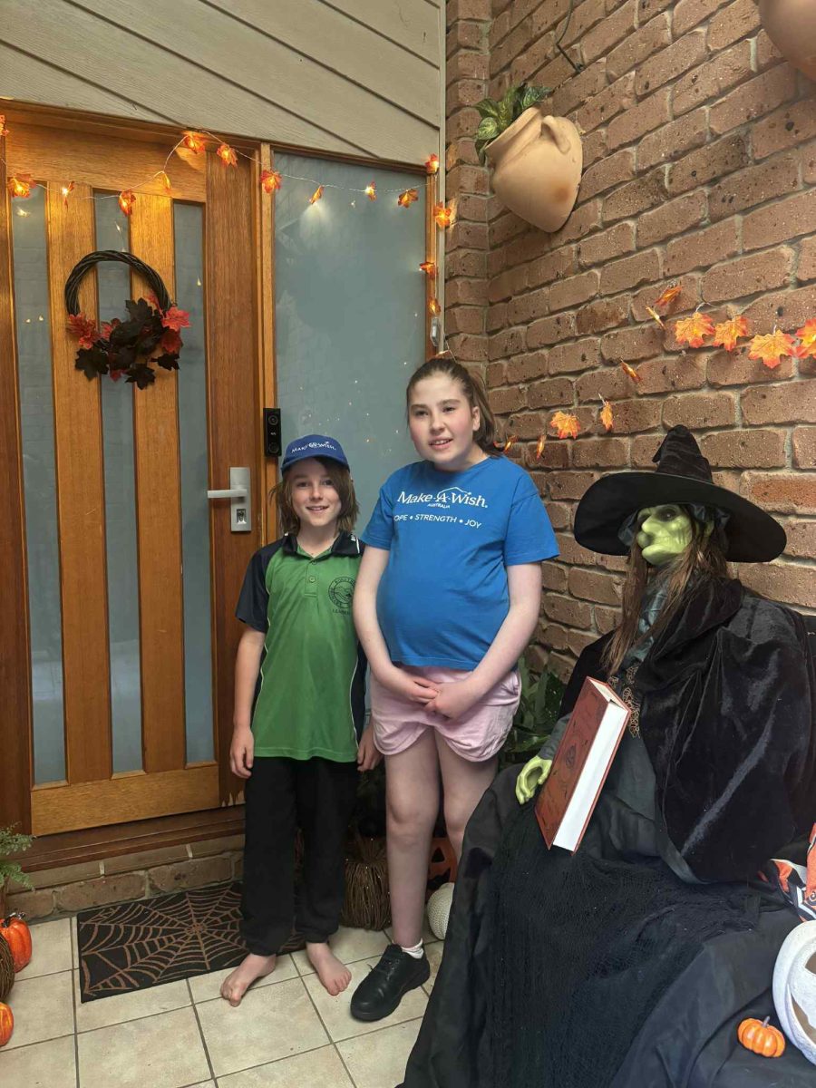 Halloween decorations