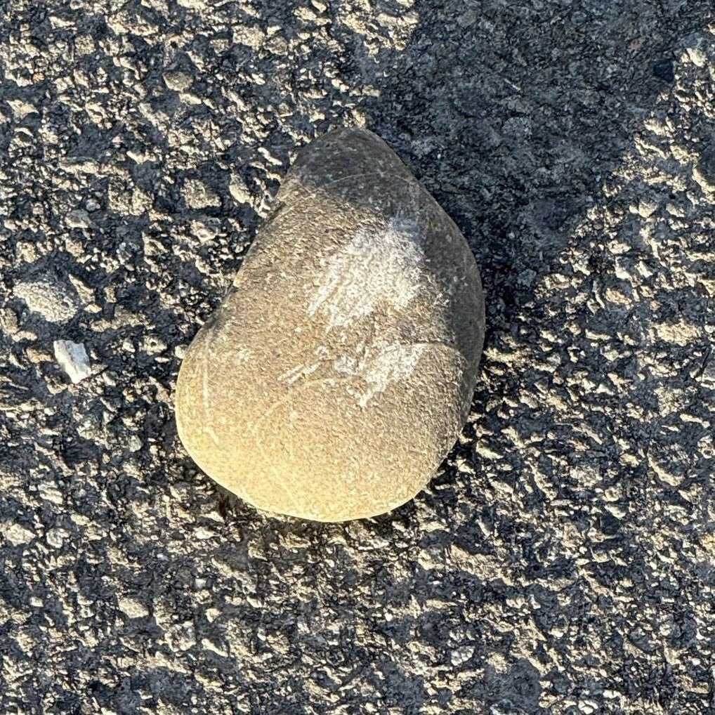 The rock that was thrown through Matt Doocey's car window. Photo: Supplied by Matt Doocey