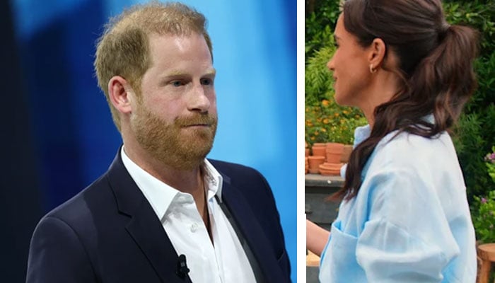 Meghan Markle dubbed beyond stupid and idiotic for blunder against Prince Harry