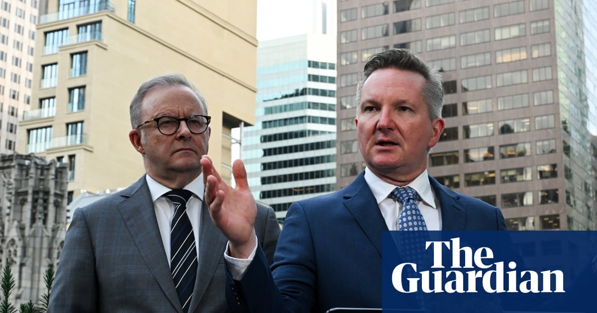 Guardian Essential poll: Australians back emissions target while One Nation support doubles | Essential poll