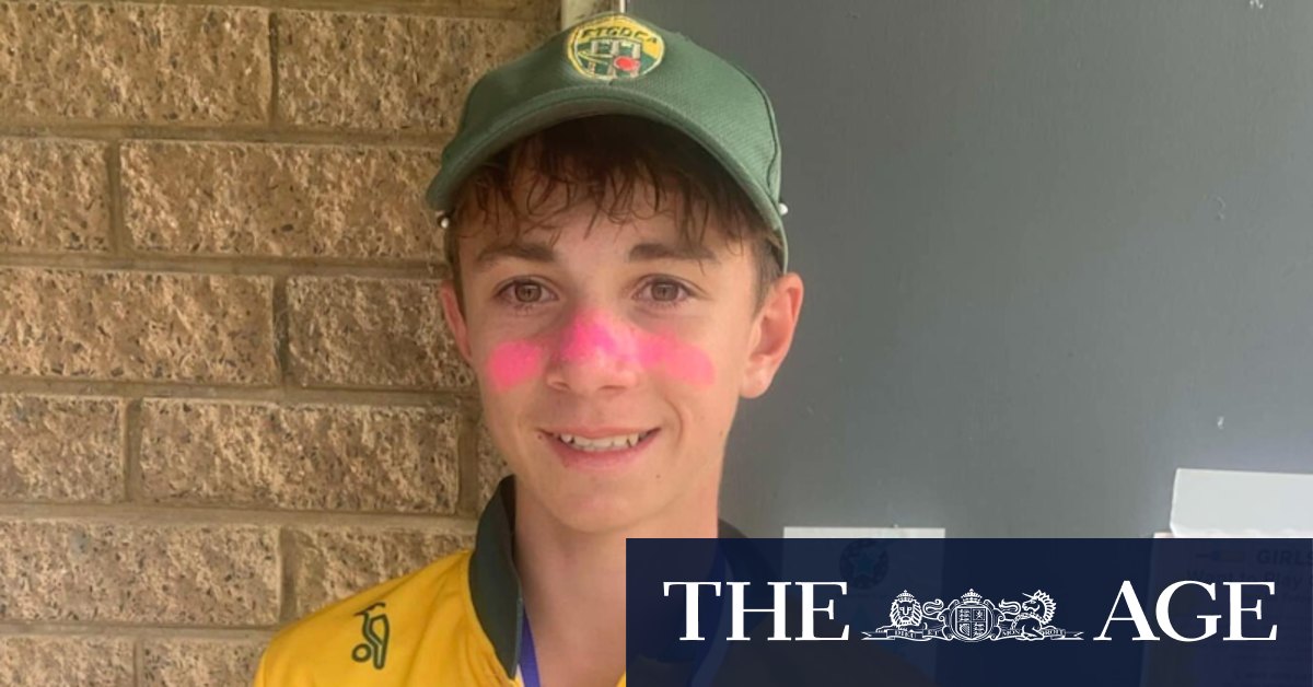 Melbourne teen cricket player dies after being struck in the neck by ball in Ferntree Gully