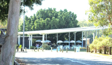 Detail in photo forces Aussie woman to abandon coffee and run towards road
