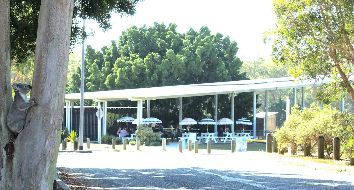Detail in photo forces Aussie woman to abandon coffee and run towards road