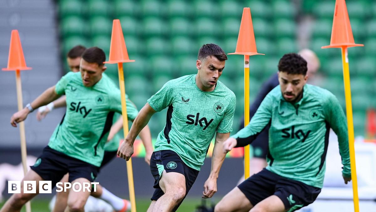 Portugal v Republic of Ireland: Heimir Hallgrimsson says Irish need 'nearly perfect game' in World Cup qualifier