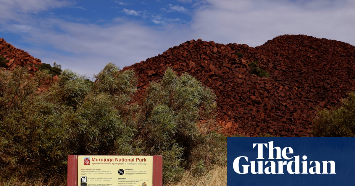 Federal government agreed to weaken proposed protections for rock art from Woodside’s North West Shelf project | Woodside