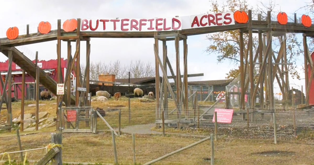 AHS issues closure order for Calgary’s Butterfield Acres due to Avian Influenza - CTV News