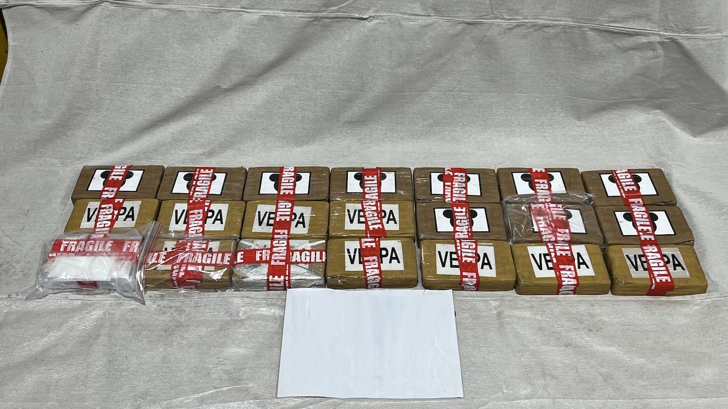 SunLive - Cocaine bust: 21kg seized at Port of Tauranga