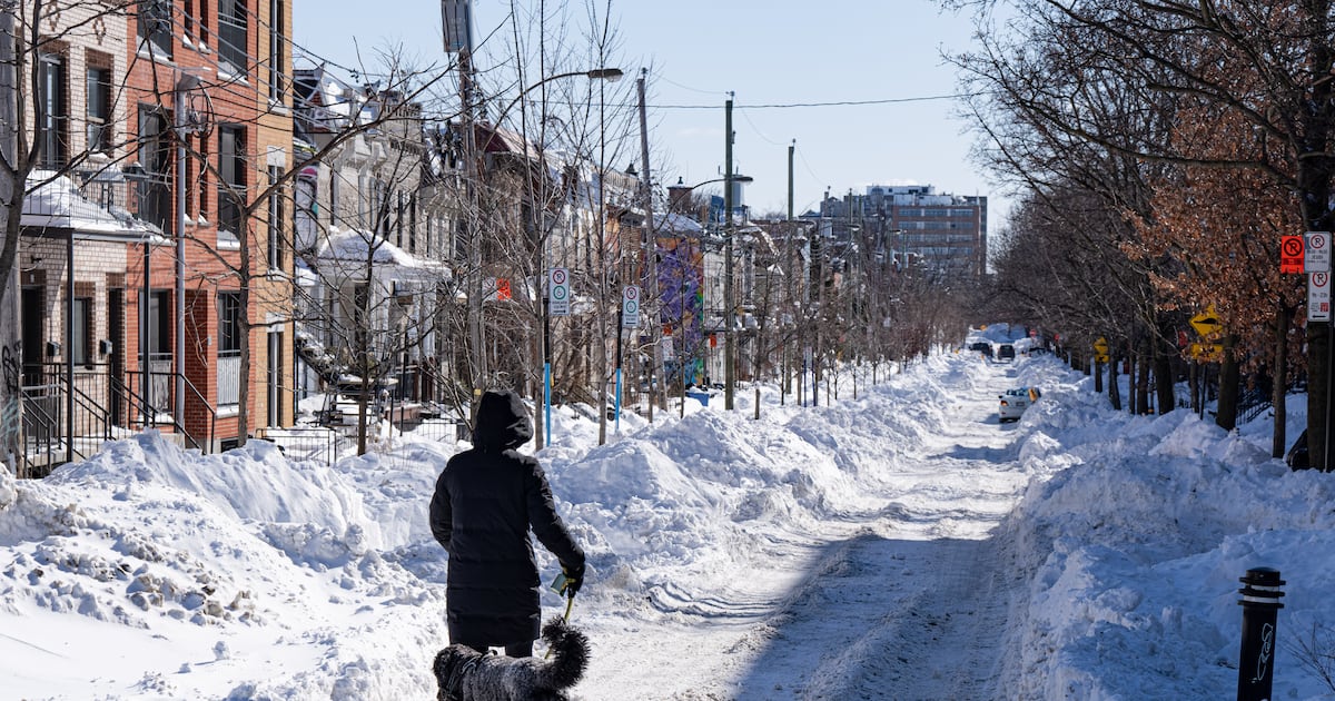 Why Canada may not have a traditional La Nina winter this year, according to a climatologist - CTV News