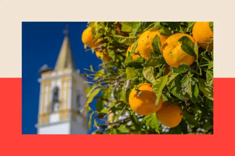 VW Pics/Universal Images Group via Getty Images Close up of oranges hanging on a tree with the backdrop of a historic church in the rural town of Carrion de los Cespedes, Seville, Spain
