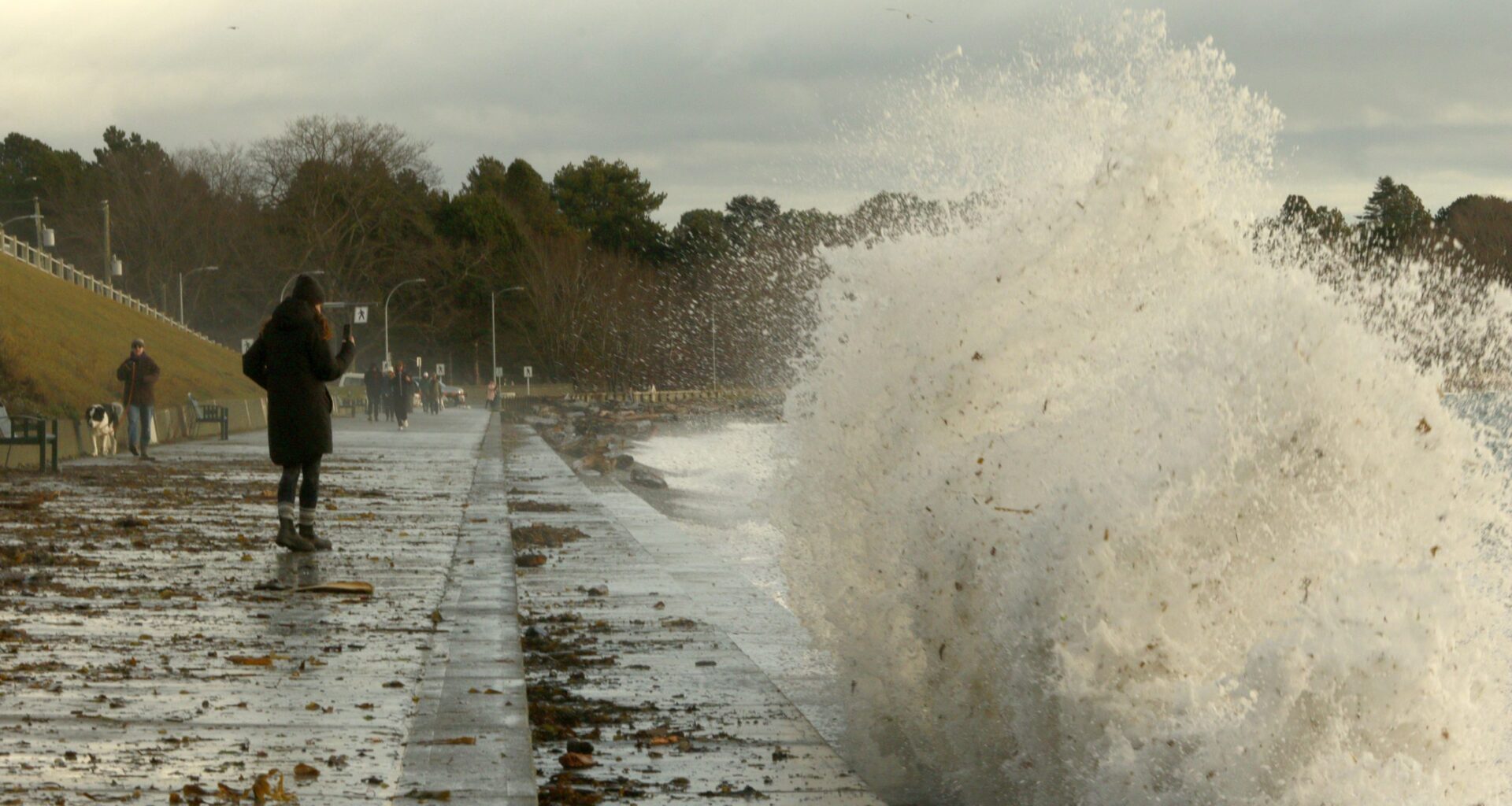 Wind warnings issued for Greater Victoria, mid-Island as fall storm approaches
