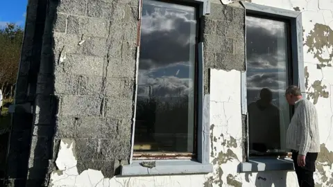 Joy Beard  Cracked house 