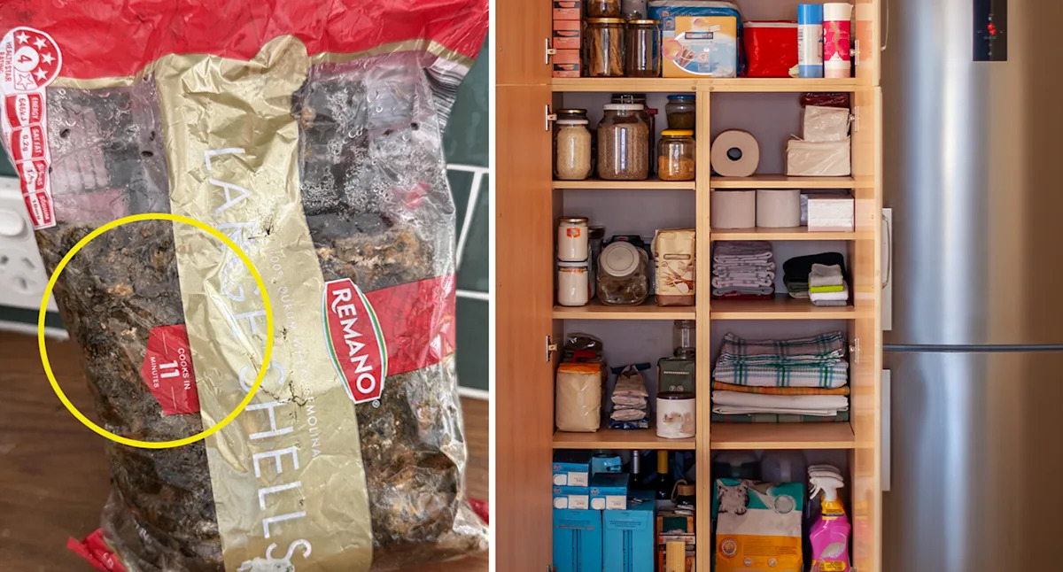 Disastrous pantry discovery prompts warning about 'common' pest invading Aussie homes