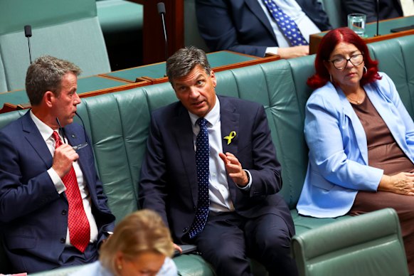 Old guard: Opposition defence spokesman Angus Taylor.