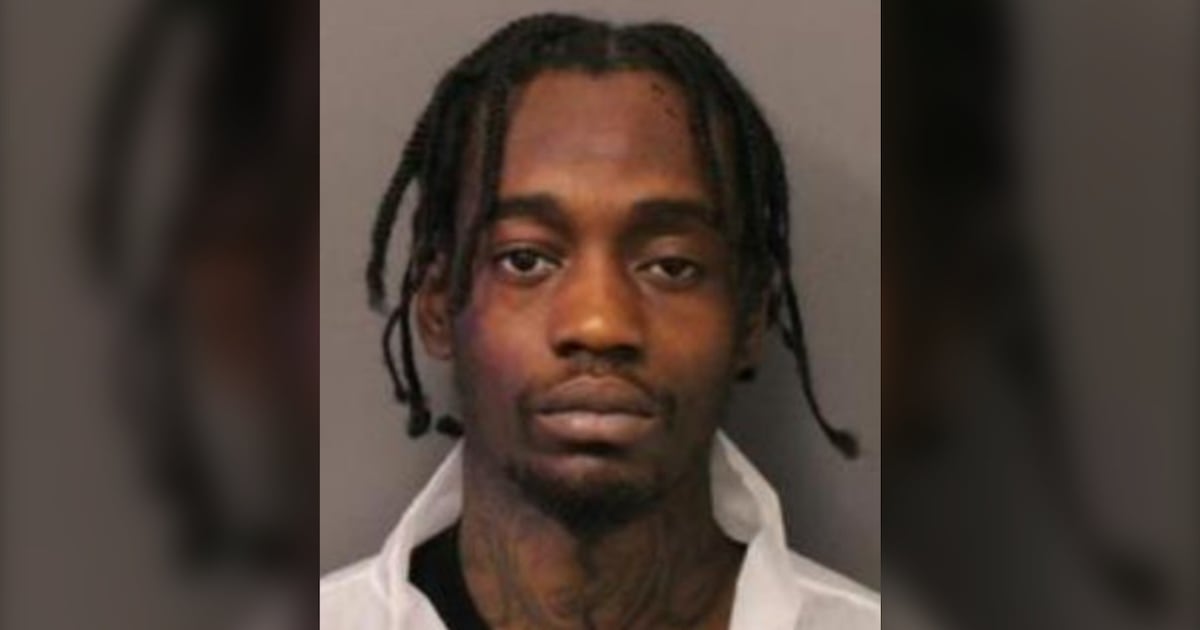 Suspect in Vaughan home shooting behind six other Ontario shootings, police allege - CTV News