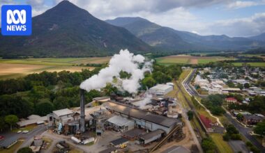 Mossman sugarcane industry on its last legs as haulage deal ends