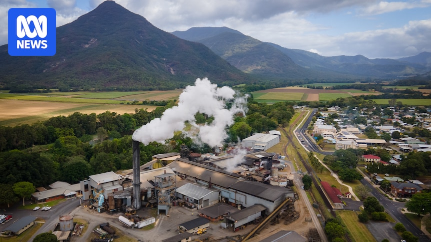 Mossman sugarcane industry on its last legs as haulage deal ends