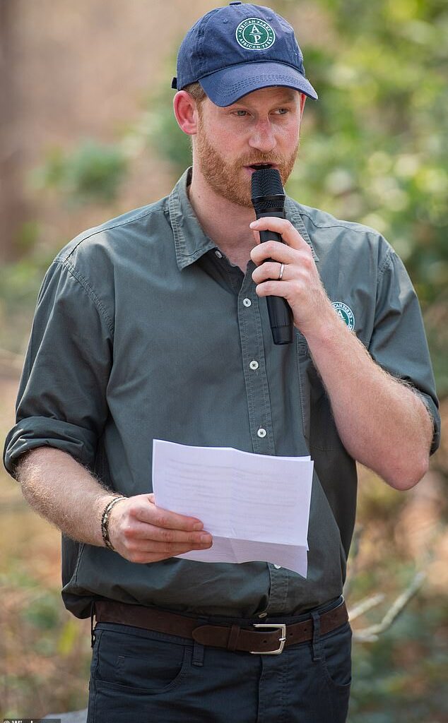 Prince Harry (pictured 2019) was African Park's President for six years until being elevated to the governing board of directors in 2023. He is said to have been fully involved in plans to change the charity