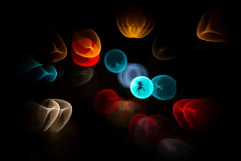 Simone Baumeister A creative abstract photo showing colourful blurred circular shapes in red, blue, yellow, and orange against a black background. In the centre, the silhouette of a spider is visible, appearing to float within one of the glowing shapes.