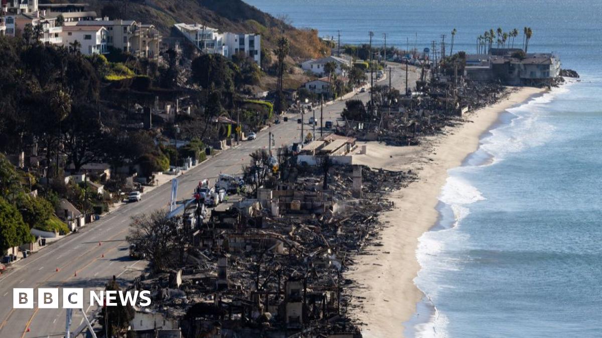 Jonathan Rinderknecht