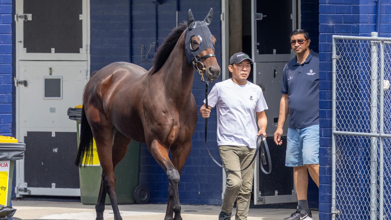 The Daily Telegraph Monday 22 September 2025 Ka Ying Rising arrives Picture Thomas Lisson