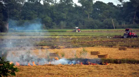 Hindustan Times via Getty Images Smoke rises from the burning of straw stubble after a harvest in a paddy field on September 18, 2025 on the outskirts of Amritsar, India

