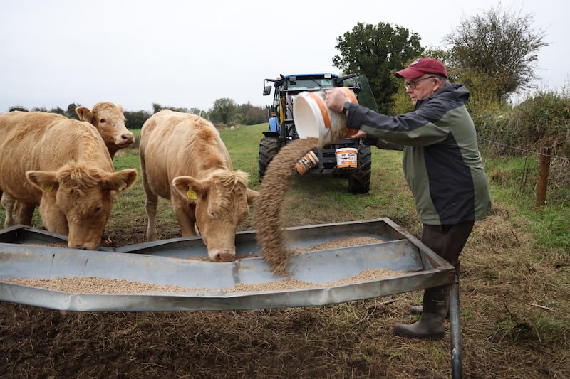 Séamus Boland pictured on his farm in Co Offaly. Photograph: Bryan O’Brien
