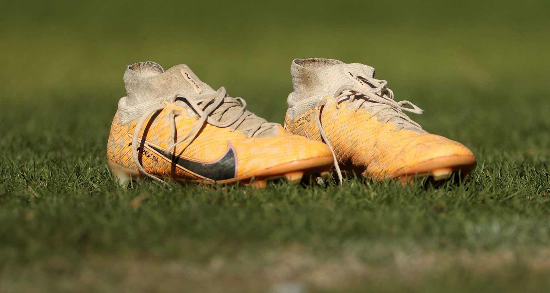 NRL referee found guilty of assaulting multiple children - NRL News