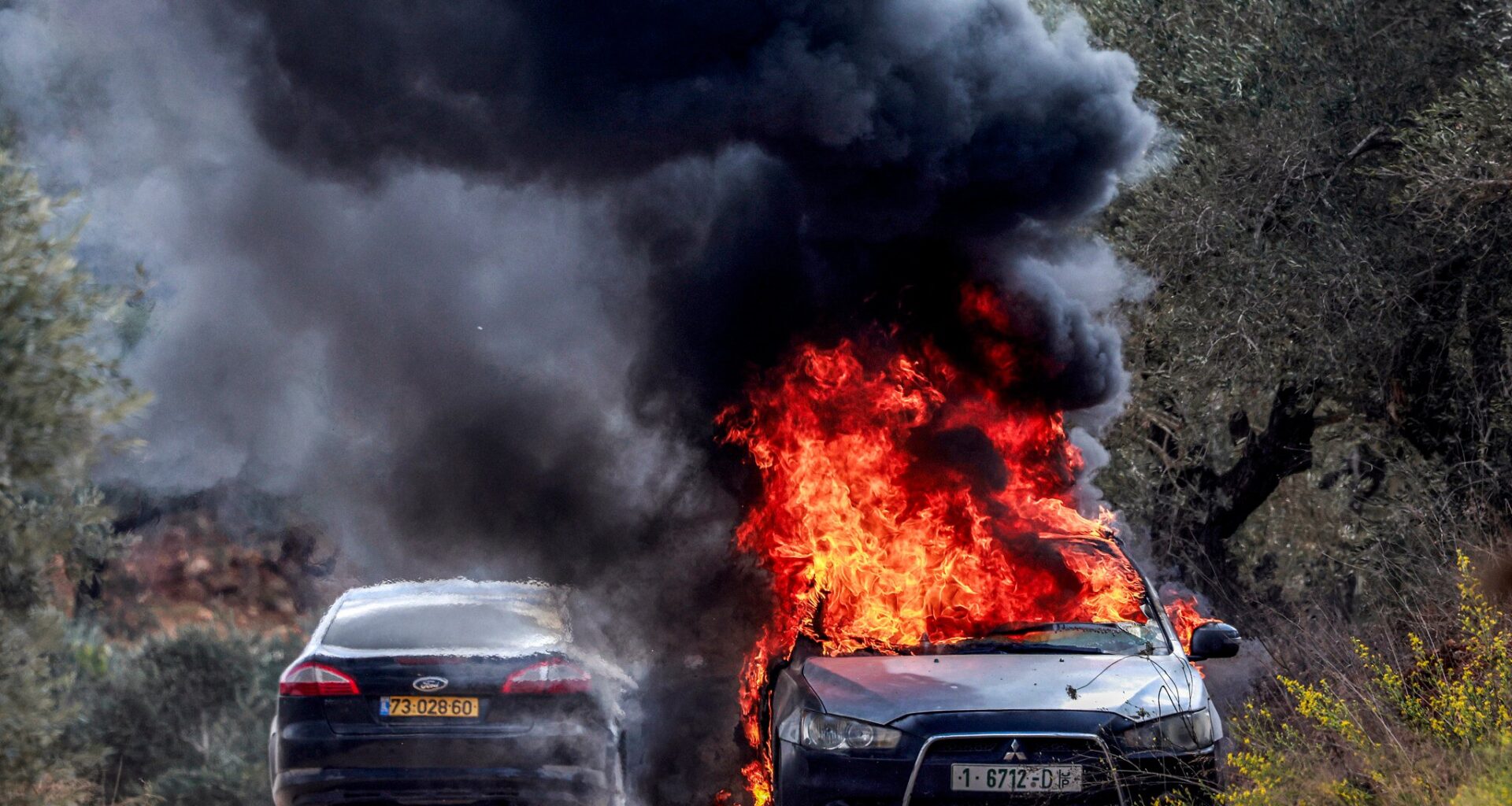 AFP photographer injured in settler attack during West Bank olive harvest