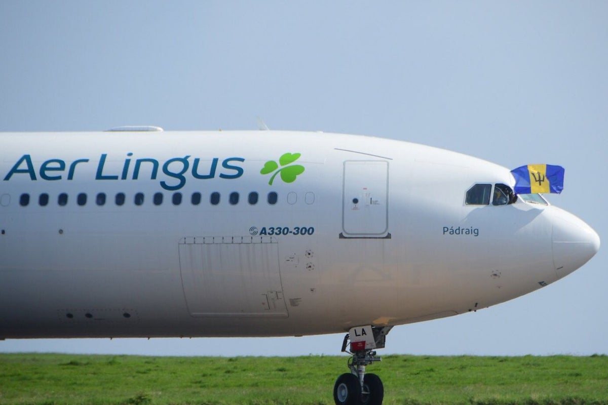 Aer Lingus faces another strike – this time by Manchester cabin crew