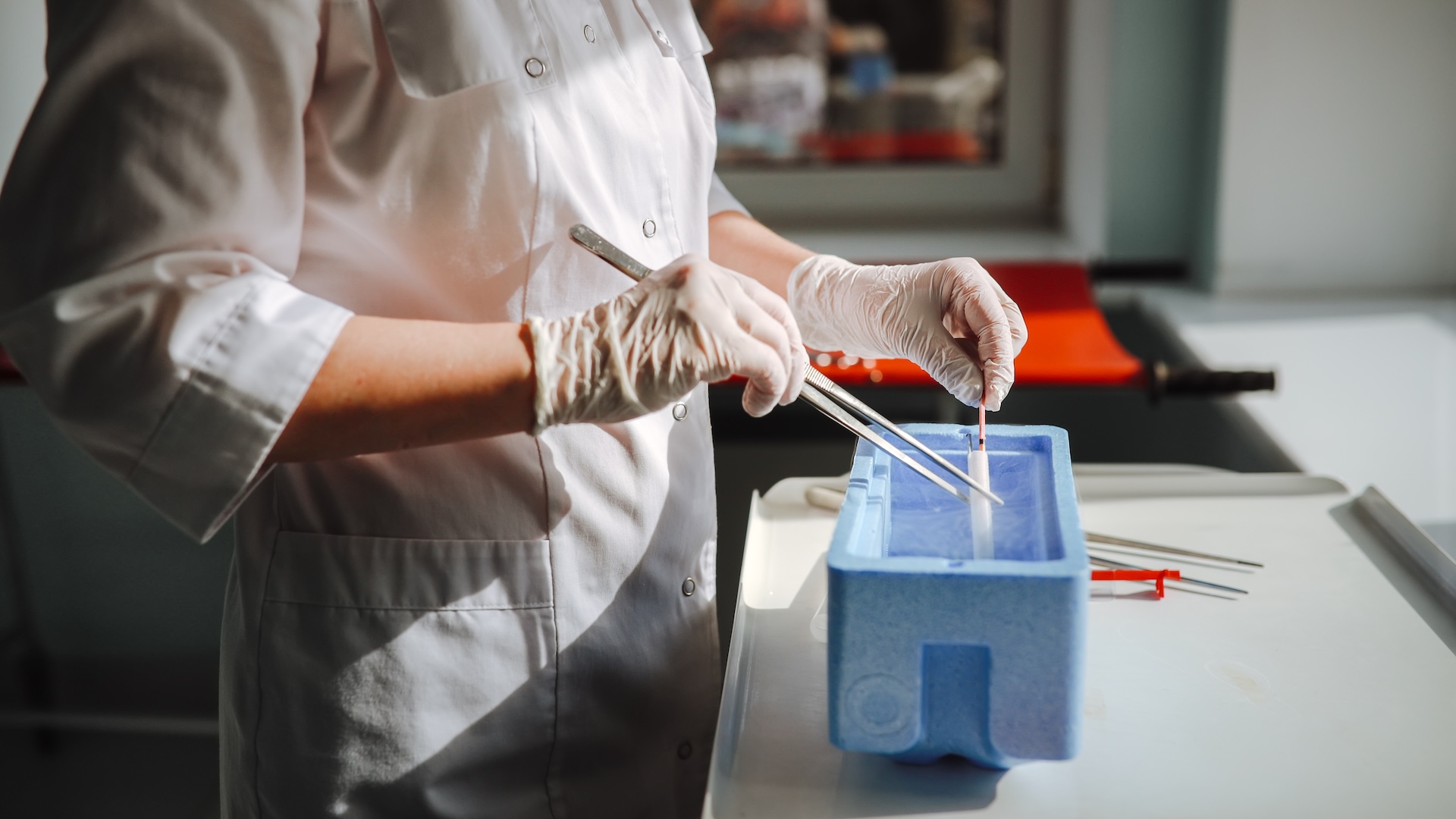 a scientist works on cells in a laboratory