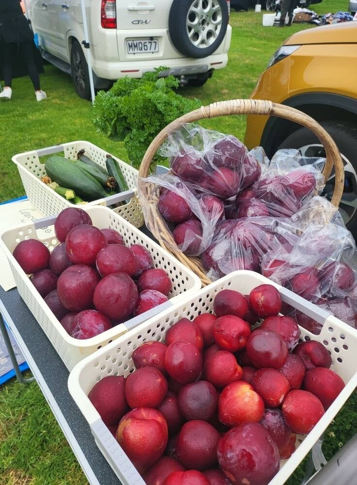 SunLive - Community market returns for new summer season