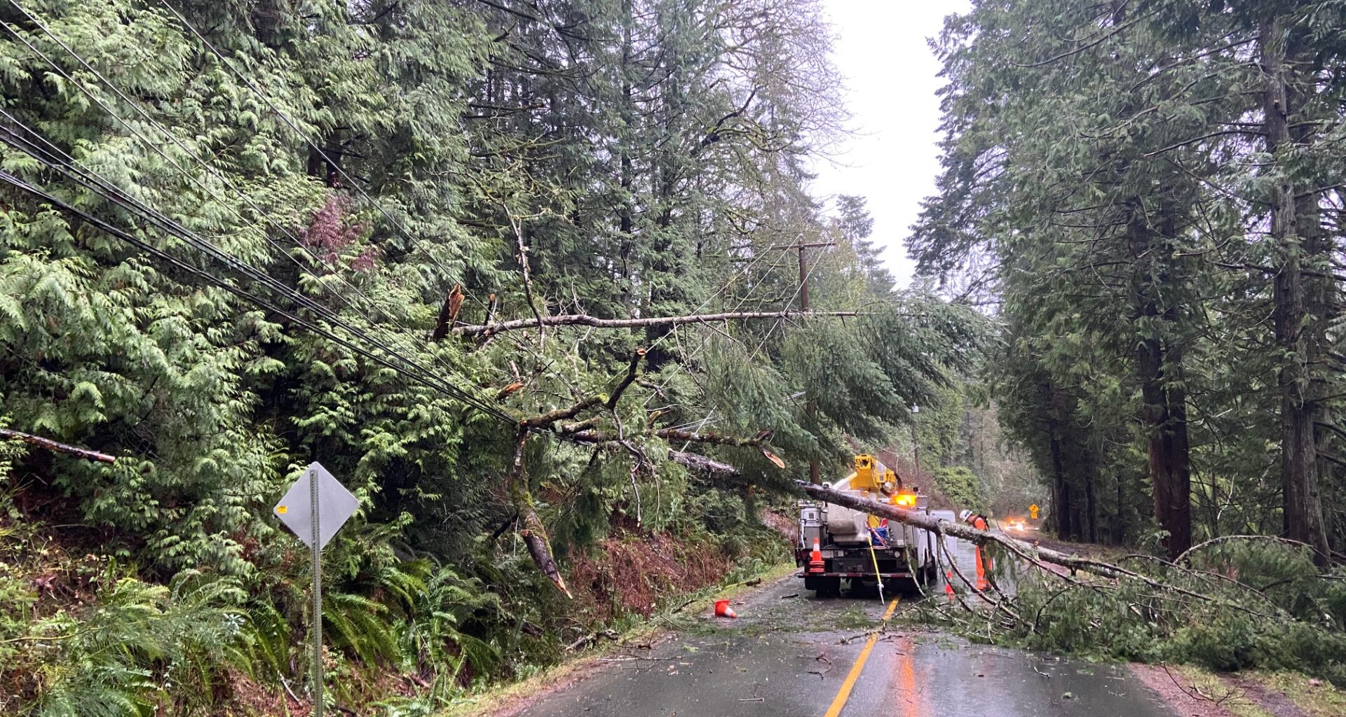 As La Niña and drought raise storm risks, BC Hydro says young adults least prepared for outages