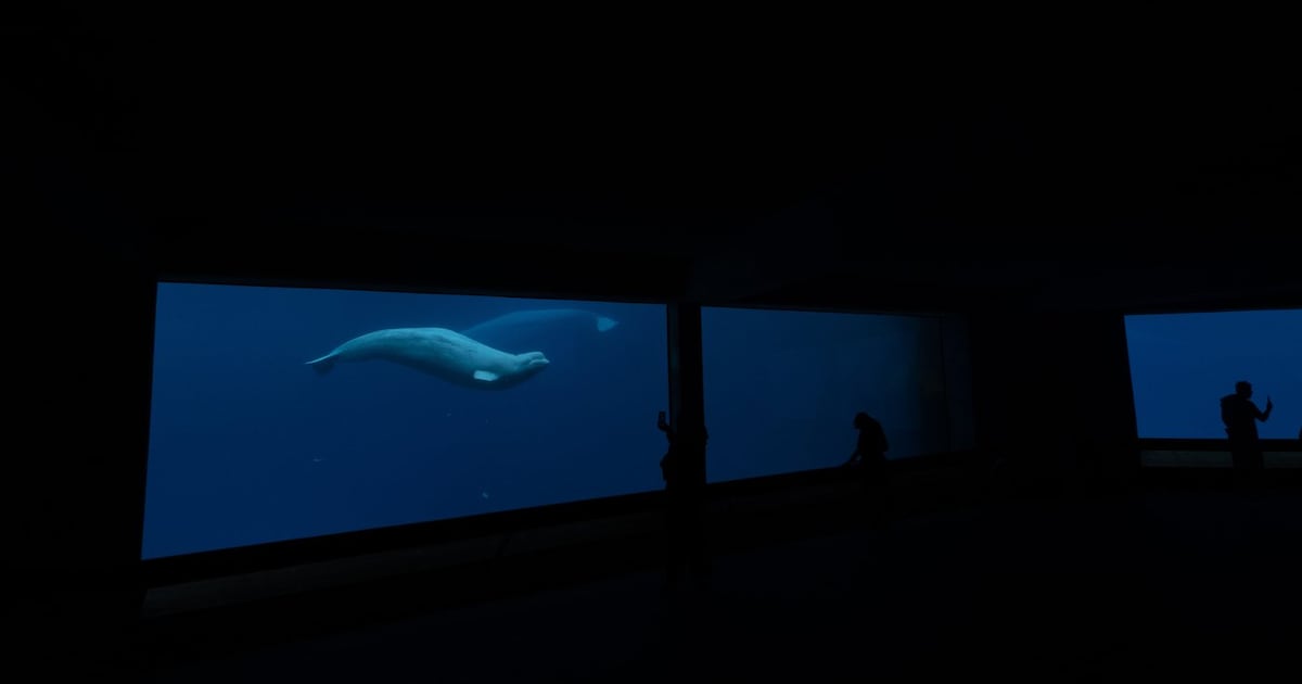 Request for federal funds 'inappropriate,' minister says