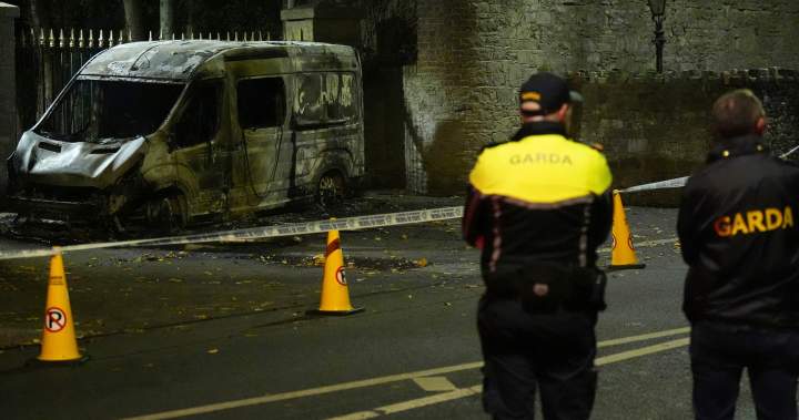 Protesters clash with Dublin police and burn van after attack on young girl - National