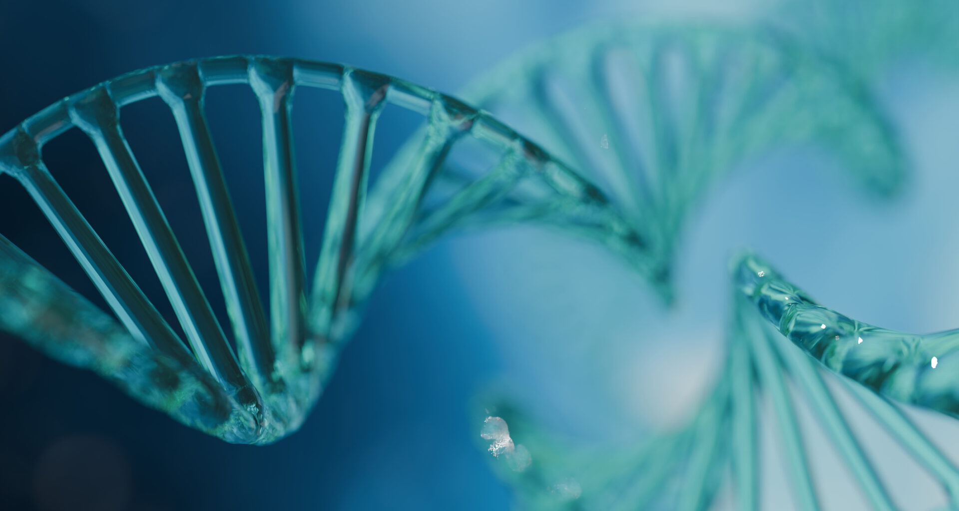 Study Identifies Gene Linked to Rare Ciliopathy Disorders 