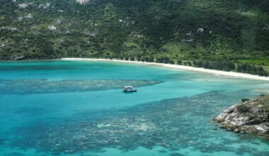 Elderly woman found dead on tropical island after cruise ship leaves without her - CTV News