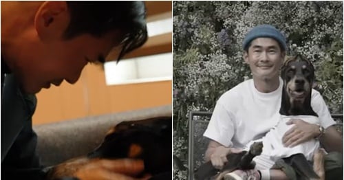 Bae Jung-nam Mourns Beloved Dog, Fans Hope for New Family - 조선일보