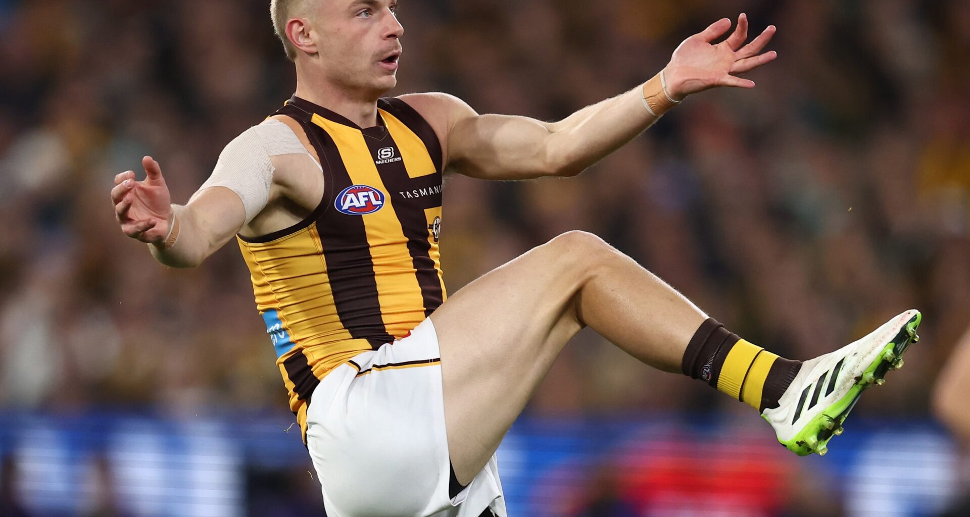 Hawks midfielder to join Cats as free agent