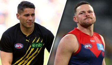 Tiger, Demon charged by police following altercation