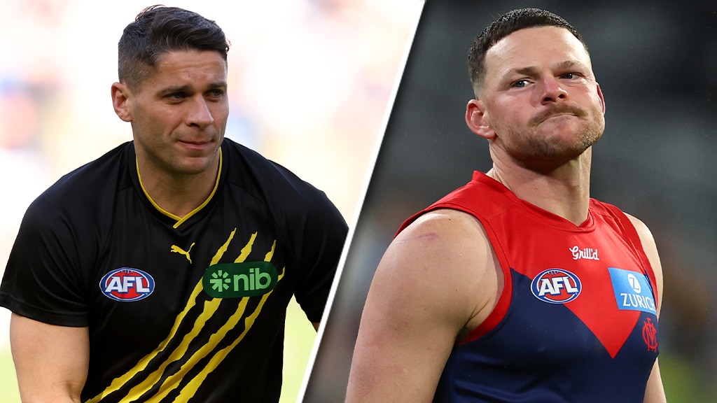 Tiger, Demon charged by police following altercation