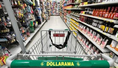 Waffles sold at Dollarama recalled across Canada due to mold - National