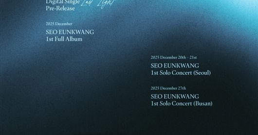 Seo Eun-gwang's First Album, Concerts in December - 조선일보