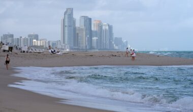 Canadian snowbirds plan to ditch wintering in the U.S. over economic tensions: survey - CTV News
