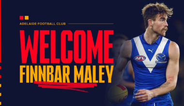 Maley joins Crows