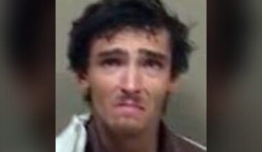 Downtown Toronto park robbery: 2 suspects sought