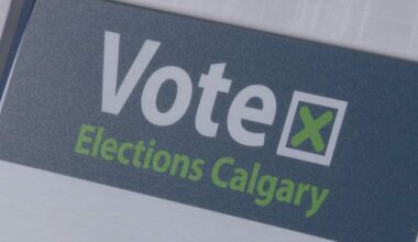 Elections Calgary to recount results in Ward 12, recount denied in Ward 9 - Calgary